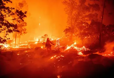 Companies Settle $4M for Gender-Reveal Fireworks That Sparked Deadly California Wildfire