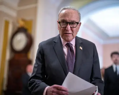 Dem Senators Plan Response to Potential Election Interference in Midterms