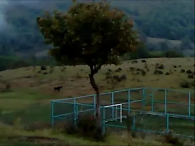 Dry Leaf Review: Alexandre Koberidze's Football Pitch Film