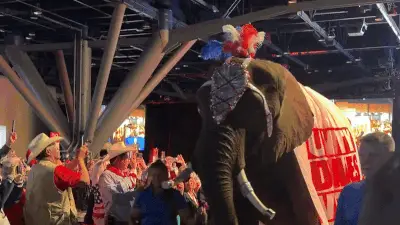 Elephant Urinates at Texas Republican Rally, Soaking Convention Floor
