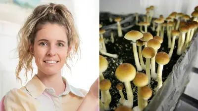 Expert warns against widening access to MDMA and psilocybin therapy