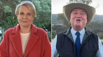 Fiery Clash Between Plibersek and Joyce Over One Nation Poll Surge