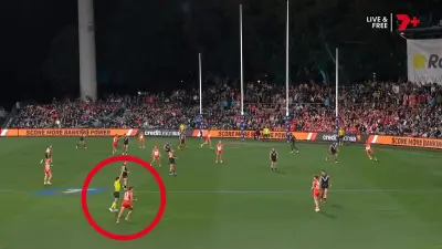 Kane Cornes proposes four-point plan to fix AFL umpiring issues