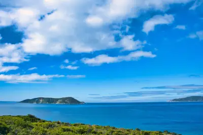 Man critically injured in shark attack off Western Australian coast near Albany