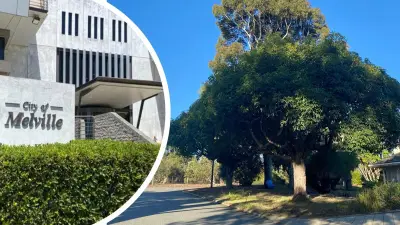 Melville Council Proposes Stricter Tree Protection on Private Property