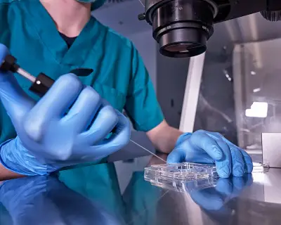 Most IVF Add-On Treatments Ineffective for Fertility, Study Finds