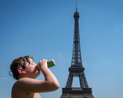 Paris Mayor Reports Heatwave Mortality Increase