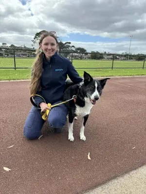 RSPCA to Hold Action Day as Animal Cruelty Reports in Belmont Jump 34%