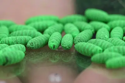 Screwworm Cases Rise as Outbreak Spreads Across US Regions