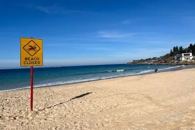Shark Cull Debate, Free Speech Concerns, Manufacturing Loans