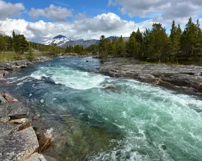 Solo Road Trip to Norway's Midnight Sun: A Journey to the Top