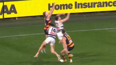 Tex Walker Faces MRO Scrutiny After Controversial Shove Hurts Crows Captain