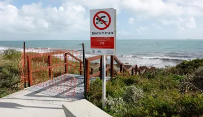Whale Carcass Washes Ashore at Cottesloe Beach, Forcing Closure