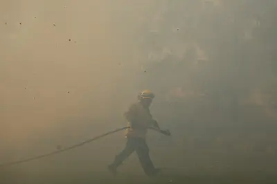 Wildfire Smoke Reverses US Progress on Ozone Air Quality, Study Finds