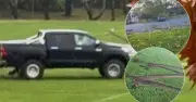 ACT Police Launch Crackdown on Canberra Hoons Targeting Sportsgrounds
