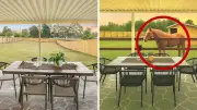 AI-Generated Horse in Backyard: Agent Defends Enhanced Real Estate Photos