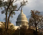 AI Use by US Government Ballooning with Troubling Lack of Transparency