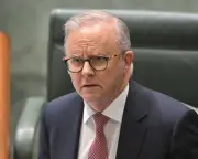 Albanese mocks Taylor as 'Temu Abbott' in tax fight with Greens concerns