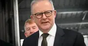 Albanese's Bold Budget Reforms Defy Critics, Set to Endure