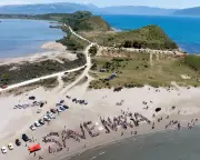Albania's Flamingo Wetlands Draw Tourists, Trump's Interest