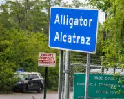 Alligator at Alcatraz Used to Intimidate ICE Detainees, Lawsuit Claims