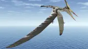 Ancient Microbes Helped Preserve Pterosaur Fossil for 100 Million Years