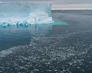 Antarctica's West Coast Missing Sea Ice the Size of France