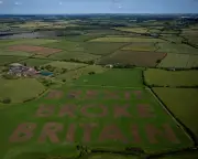 Assault on Facts and Truth Led to Brexit, New Report Finds