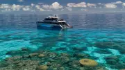 Australian Groups Urge UN Annual Scrutiny Over Great Barrier Reef Land Clearing