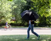 Be Prepared for Deadly Heatwaves to Intensify, Experts Warn