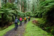 Best New Cycling and Ebike Trails in Melbourne and Victoria for 2025