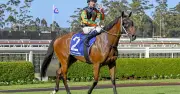 Bestower an Each-Way Chance at Kensington on Wednesday