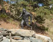 Bigfoot Sightings in Rural Ontario Reignite Debate Over Legendary Beast
