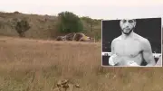 Burnt-Out Mercedes Found in Gangland Murder Probe