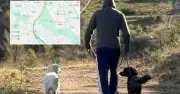 Canberra Police Seek Man After Dog Track Assault on Woman