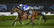 Canterbury Wednesday Racing Tips: Balkans Chases Fourth Win at Home Track