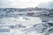 Chef Khaliqdad's Mission for Greenland's First Michelin Star