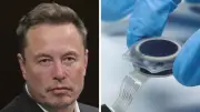 China Beats Musk to Launch World's First Commercial Brain Chip
