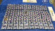 Cocaine Worth $36M Seized in Frozen Berries Shipment at Port Botany