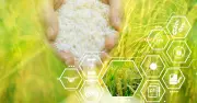 Cultivating the Future: A New Era of China-Australia Agricultural Partnership