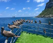 Darwin and Wolf Islands: Galapagos Expedition Reveals Surprising Wildlife Changes