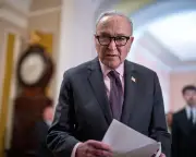 Dem Senators Plan Response to Potential Election Interference in Midterms