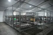 Detainees at 'Alligator Alcatraz' Allege Food and Water Denial Over English Documents