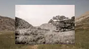 Digital Reconstruction Reveals Forgotten Genocide at Shark Island, Namibia