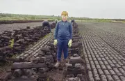 Documenting Ireland's Vanishing Boglands: Millennia in Their Layers