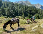 Donkey Trekking in the Spanish Pyrenees: A Family Adventure