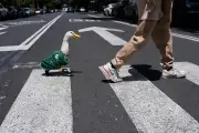 Duck Wearing Mexico World Cup Jersey Goes Viral