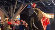 Elephant Urinates at Texas Republican Rally, Soaking Convention Floor