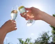 English Wine Finally Coming Into Its Own, Experts Say