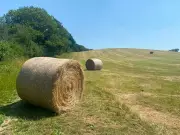Even in a Heatwave, Haymaking Is a Race Against Time